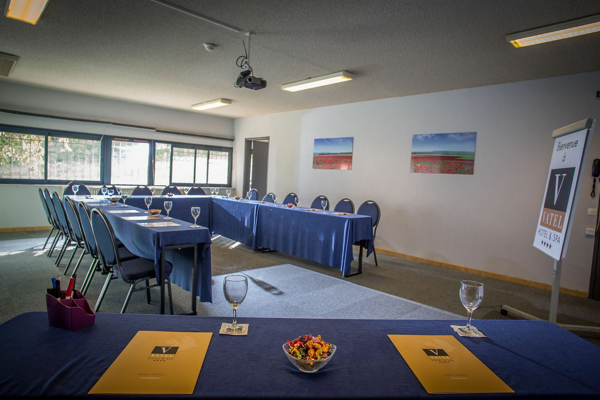 Hotel & Spa Vatel Nimes Ngoại thất bức ảnh